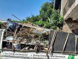 Best Recycling Services for Junk  in Sparks, NV